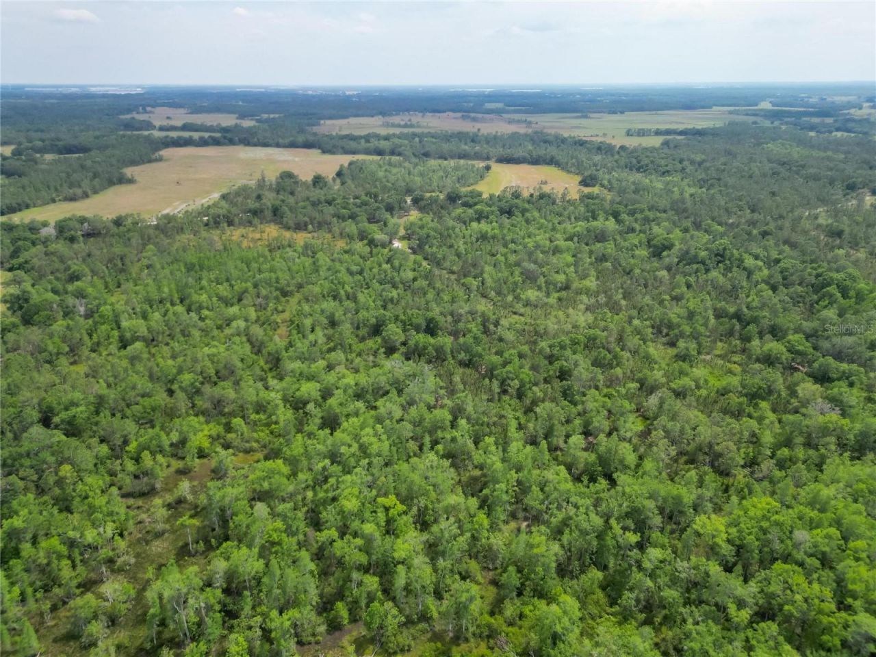 Van Fleet Road, Polk City, FL 33868 Photo