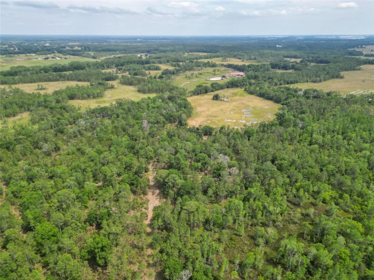 Van Fleet Road, Polk City, FL 33868 Photo