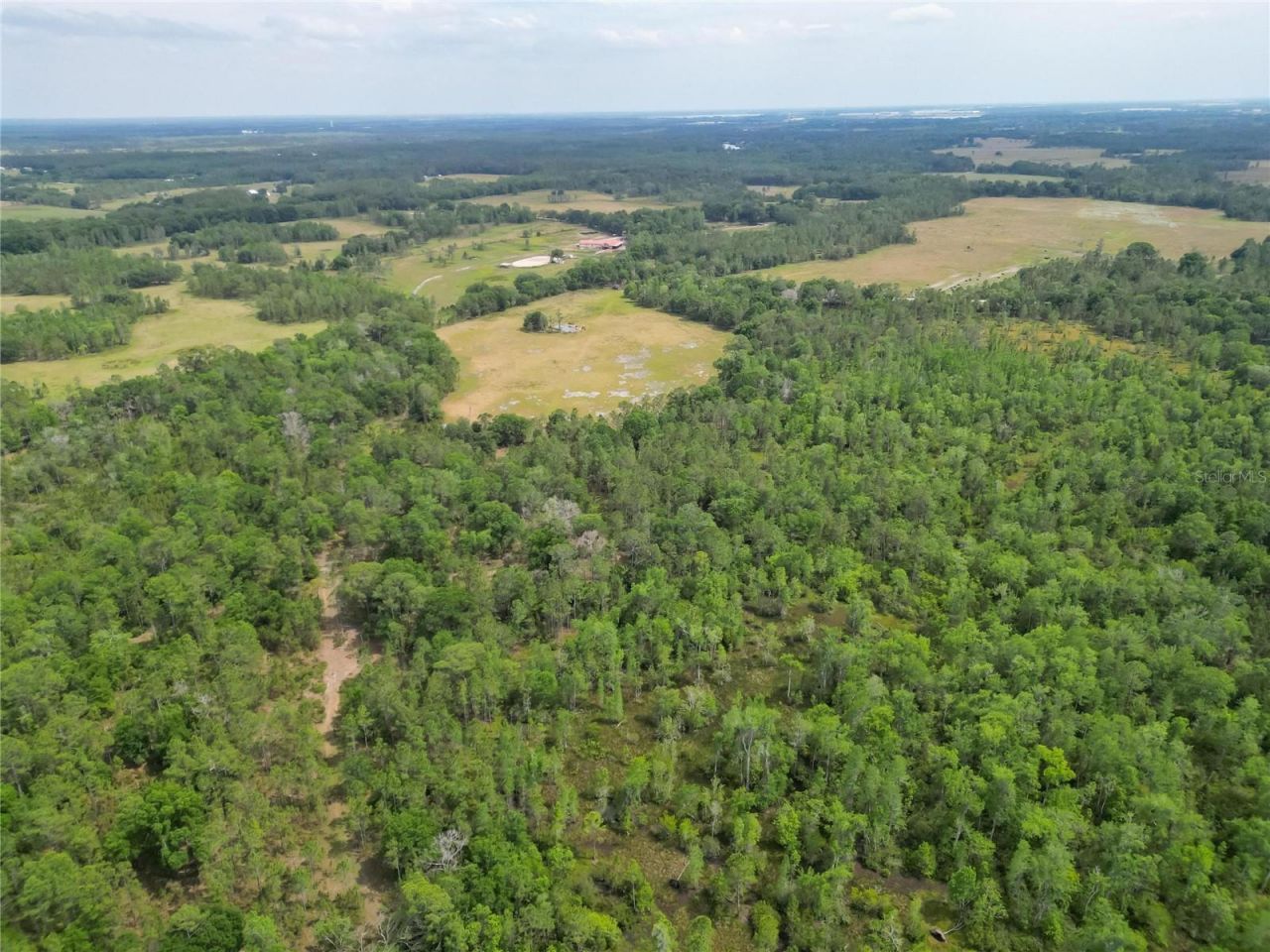 Van Fleet Road, Polk City, FL 33868 Photo