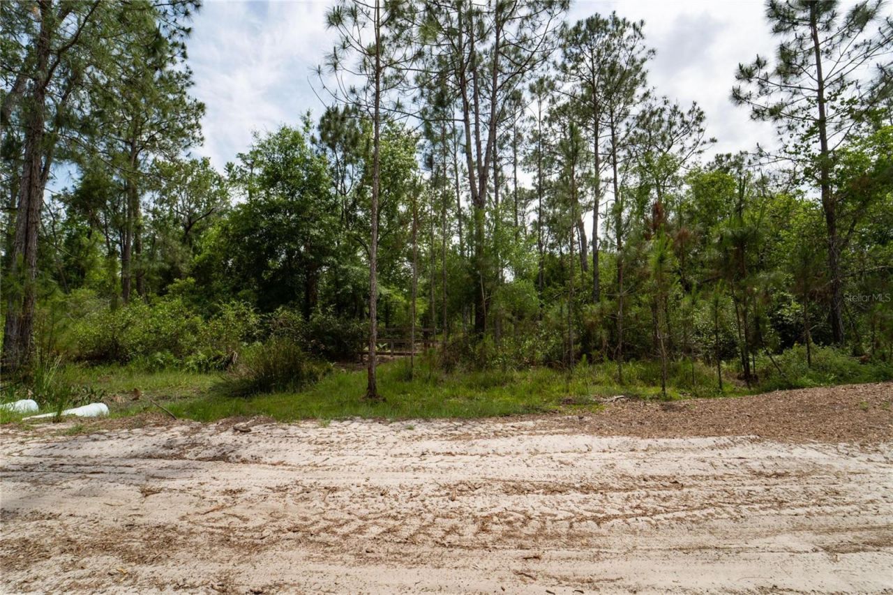 Van Fleet Road, Polk City, FL 33868 Photo