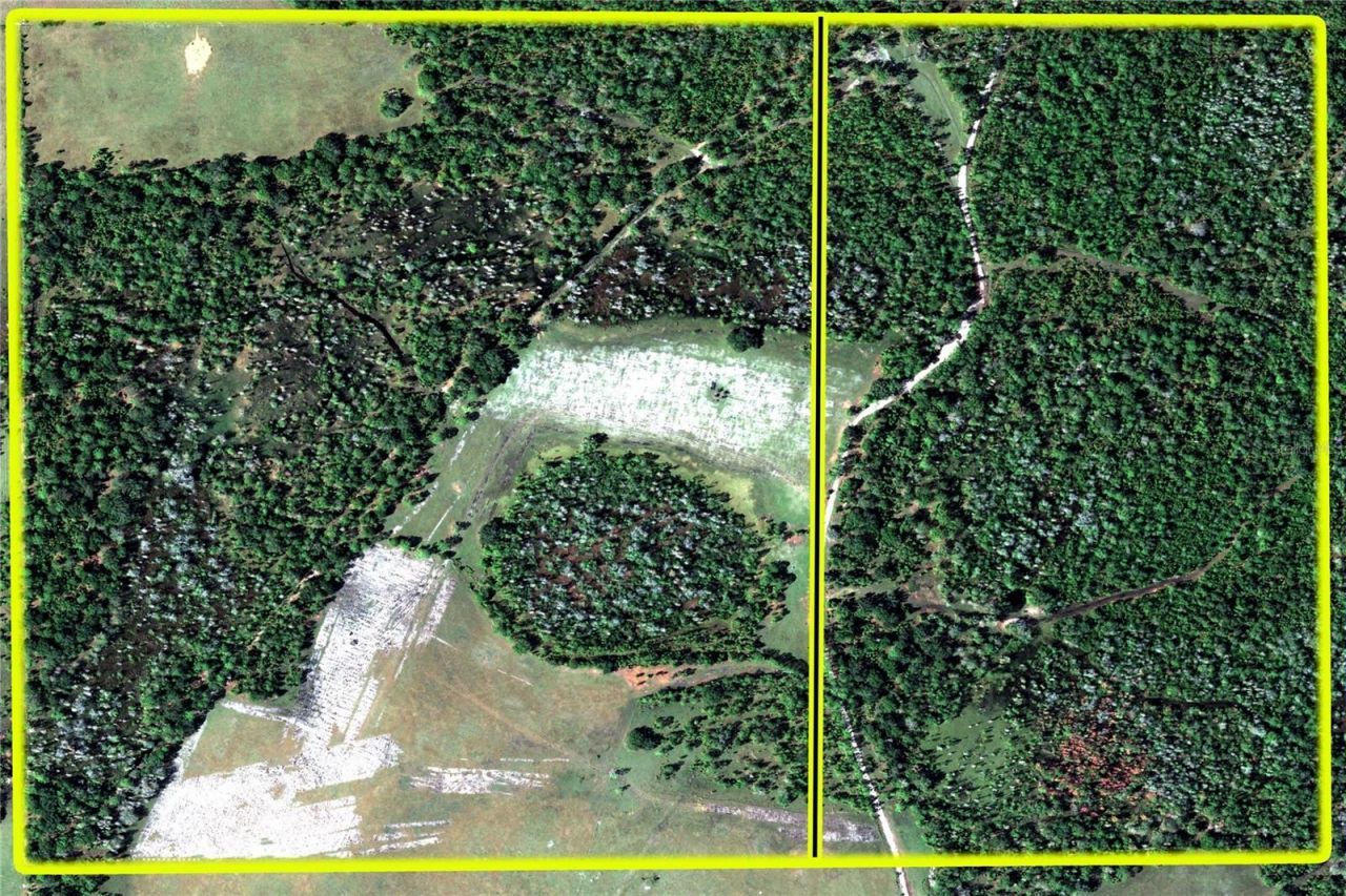 Van Fleet Road, Polk City, FL 33868 Photo