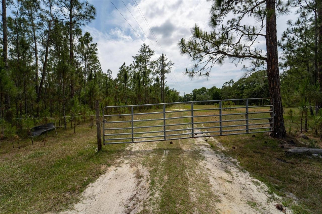 Van Fleet Road, Polk City, FL 33868 Photo
