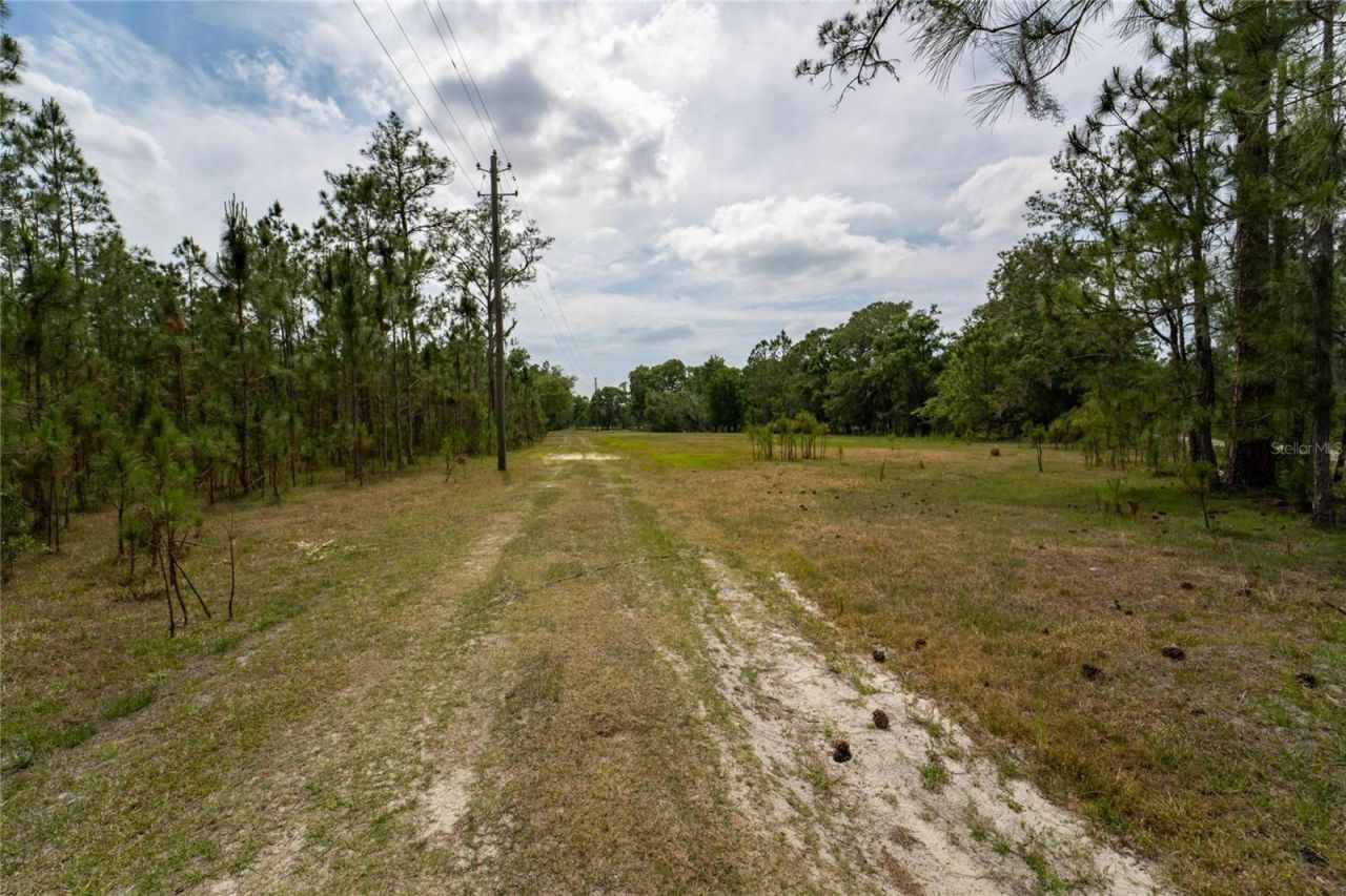 Van Fleet Road, Polk City, FL 33868 Photo