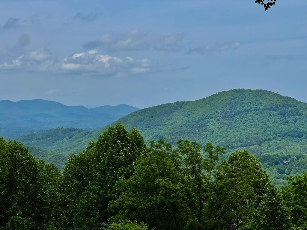 M164 Walnut Ridge, Ellijay, GA 30336 Main Photo