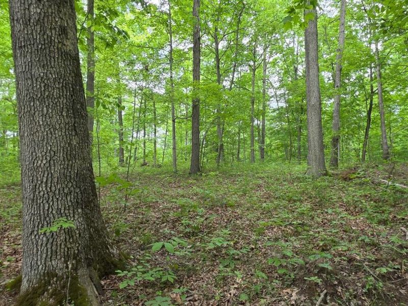 0 Edmunson Road, Unit (Tract 2 a, Vinton, OH 45686 Photo 13