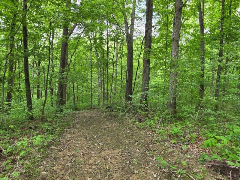 0 Edmunson Road, Unit (Tract 2 a, Vinton, OH 45686 Photo 21