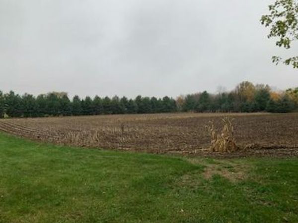 TBD Harrison Avenue NE, Racine, MN 55967