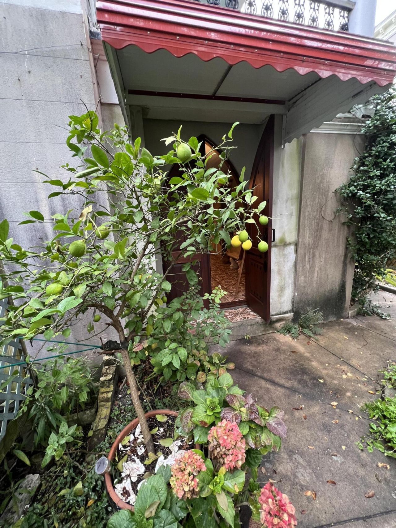 81 Rutledge Avenue Photo 98