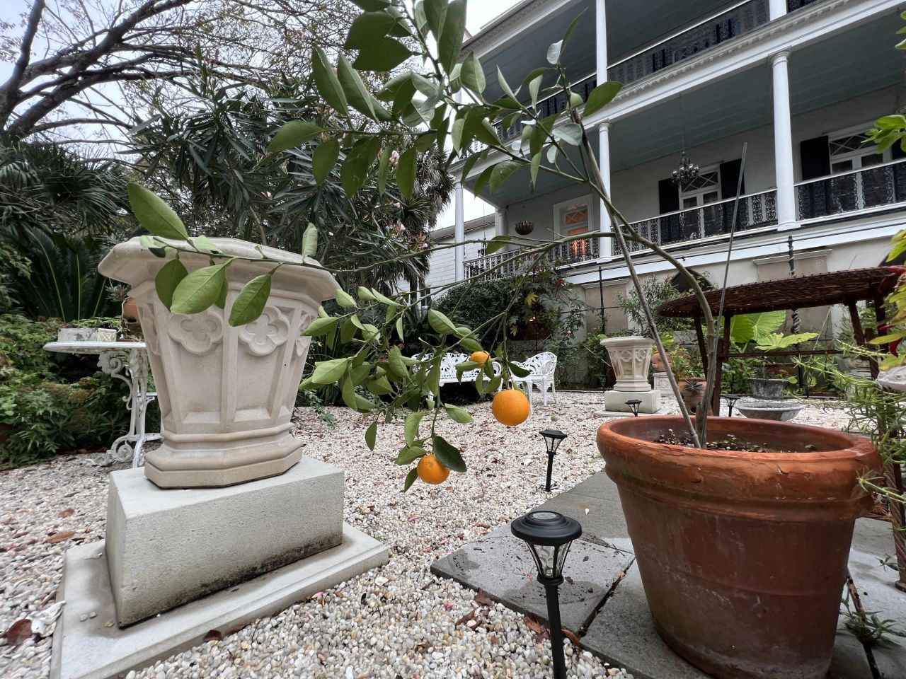 81 Rutledge Avenue Photo 99