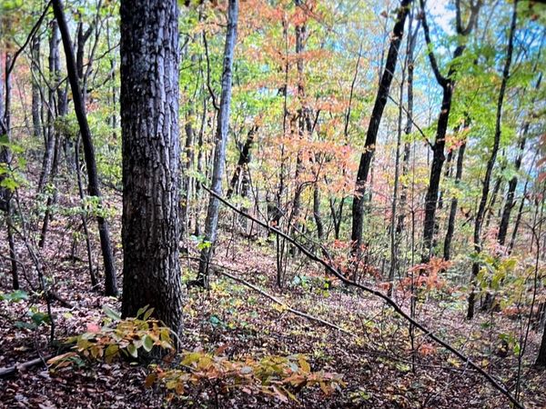 245 Hill Road, Crossville, TN 38572