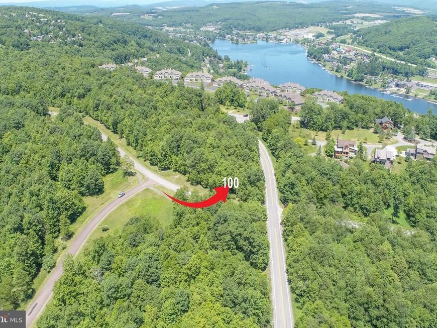 Lot 100 Snowhaven Lane, Mc Henry, MD 21541 Main Photo