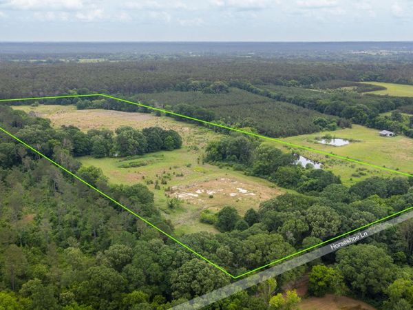 Horseshoe Lane, Flora, MS 39071