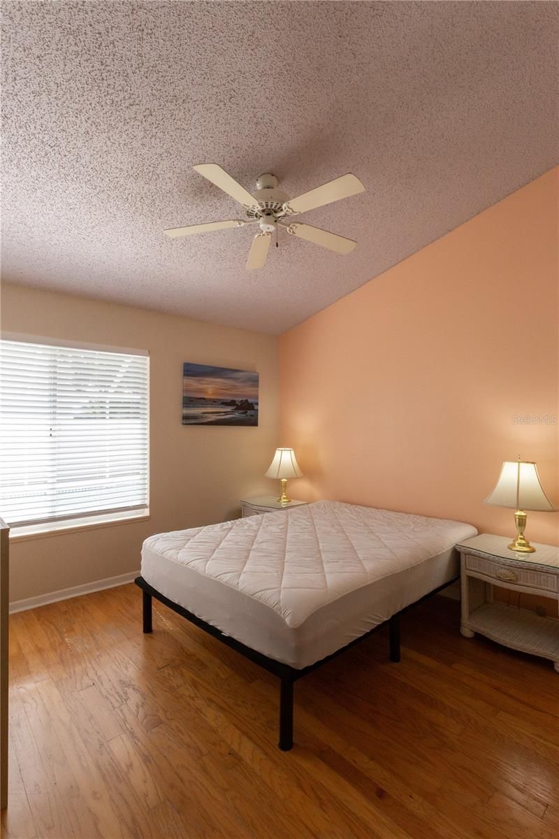 7838 Trail Run Loop, New Port Richey, FL 34653 Photo