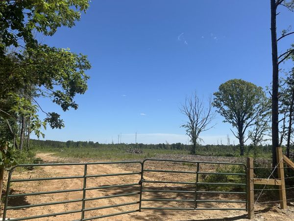Bluitt Rd, Maben, MS 39750