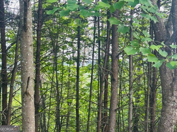 LOT 28 Crown Mountain Way, Dahlonega, GA 30533