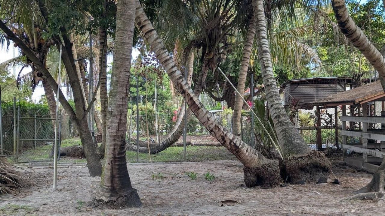 12200 SW 51st St, Miami, FL 33175 Photo