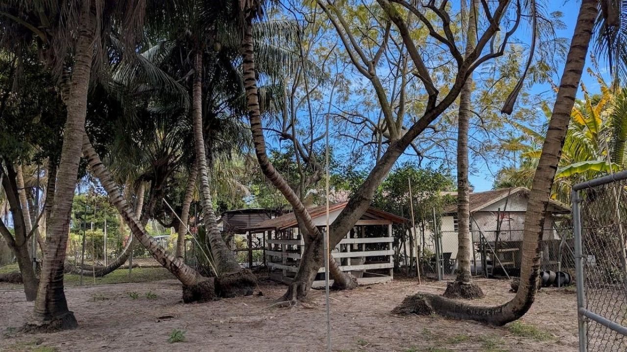 12200 SW 51st St, Miami, FL 33175 Photo