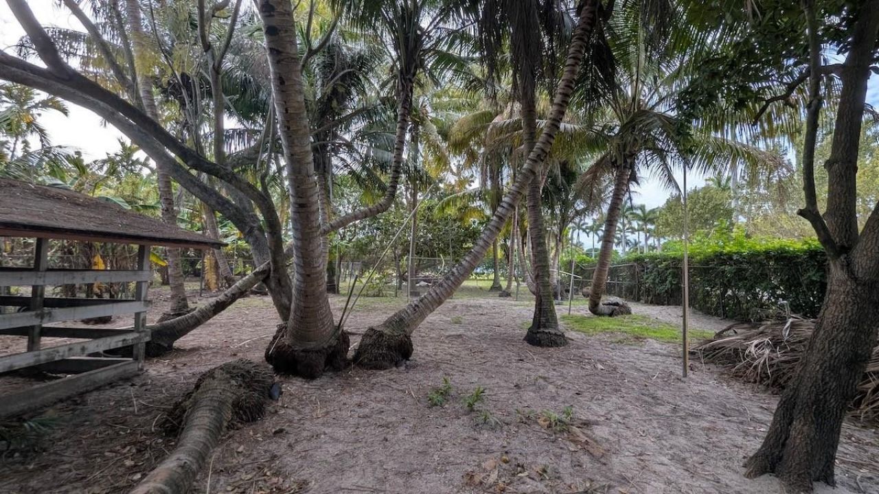 12200 SW 51st St, Miami, FL 33175 Photo