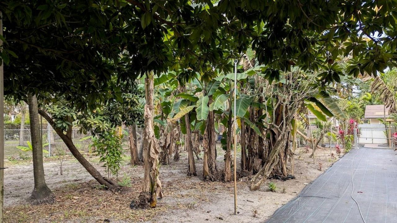 12200 SW 51st St, Miami, FL 33175 Photo