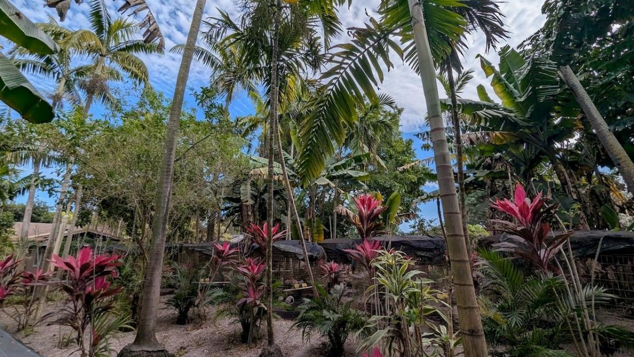 12200 SW 51st St, Miami, FL 33175 Photo