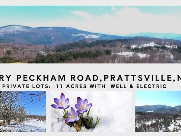 167 Harry Peckham Road, Prattsville, NY 12468