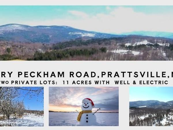 167 Harry Peckham Road, Prattsville, NY 12468