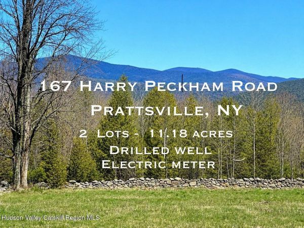 167 Harry Peckham Road, Prattsville, NY 12468