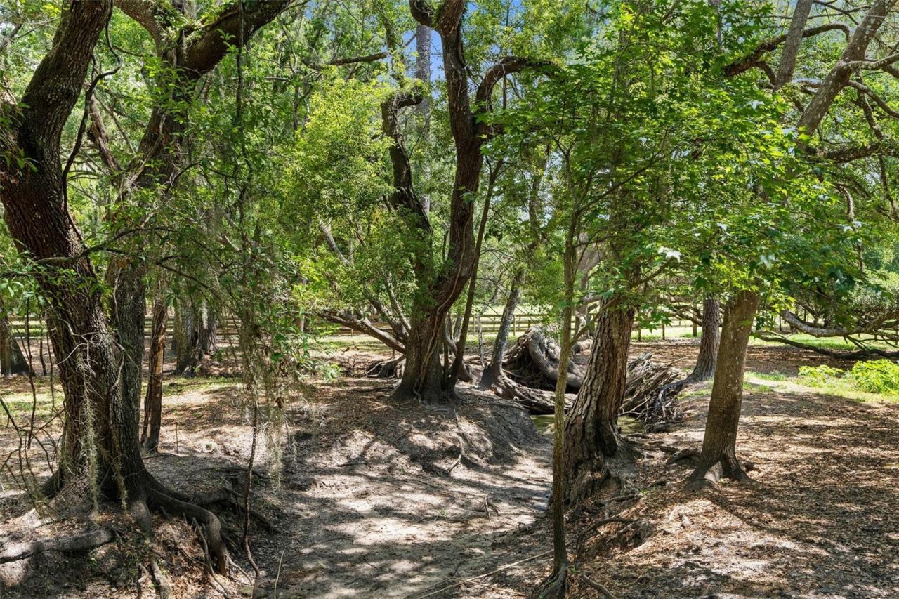 1253 Culbreath Road, Brooksville, FL 34602 Photo