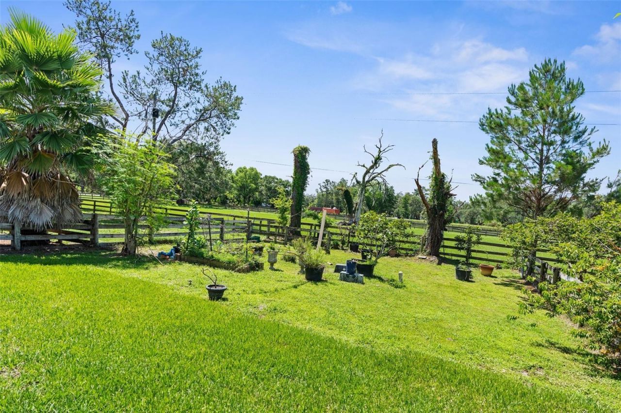 1253 Culbreath Road, Brooksville, FL 34602 Photo