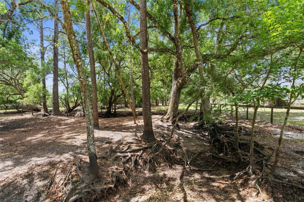 1253 Culbreath Road, Brooksville, FL 34602 Photo