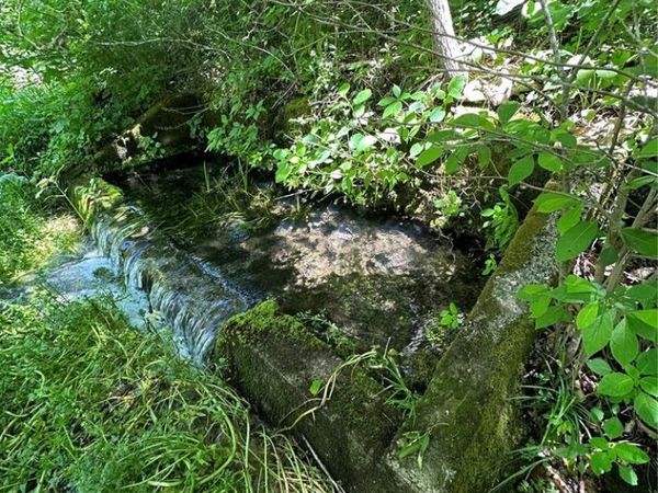 TBD Carter 224, Grandin, MO 63943