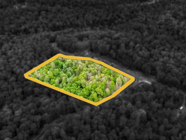 120 Laurel Loop, Bruceton Mills, WV 26525