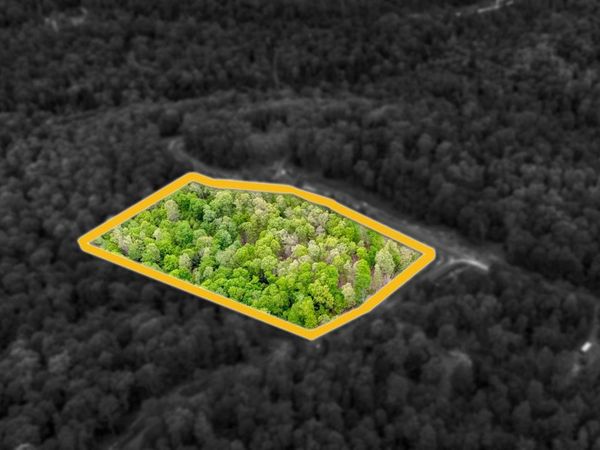 120 Laurel Loop, Bruceton Mills, WV 26525