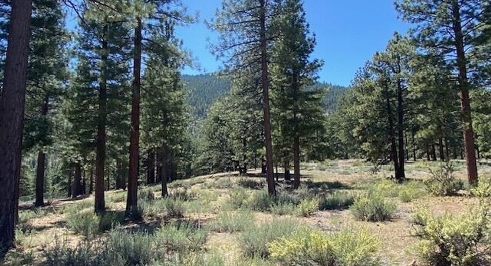 3355 Golf Club Drive, Lot #97, Carson City, NV 89705 Photo