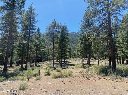 3355 Golf Club Drive, Lot #97, Carson City, NV 89705 Photo