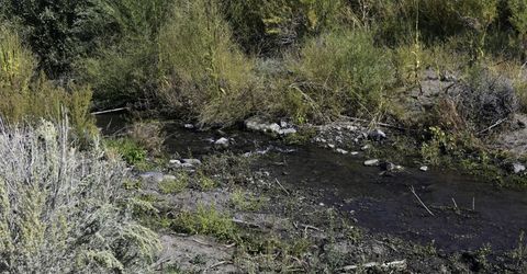 345 Veris Court, Lot #2, Gardnerville, NV 89410 Photo