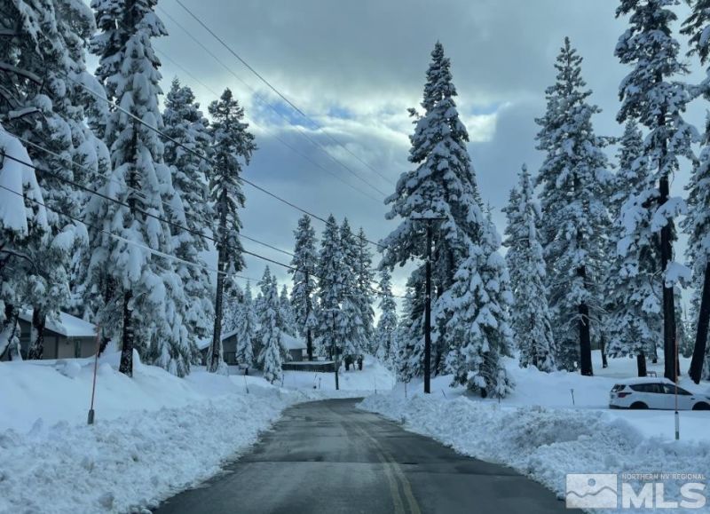 449 Andria Drive, Stateline, NV 89449 Photo