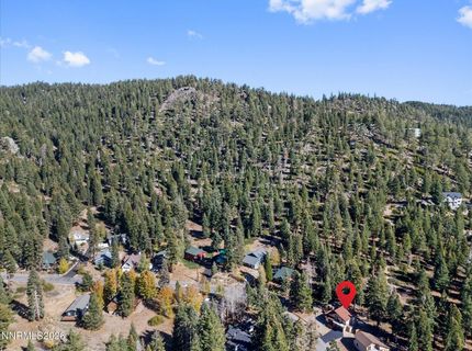 449 Andria Drive, Stateline, NV 89449 Photo