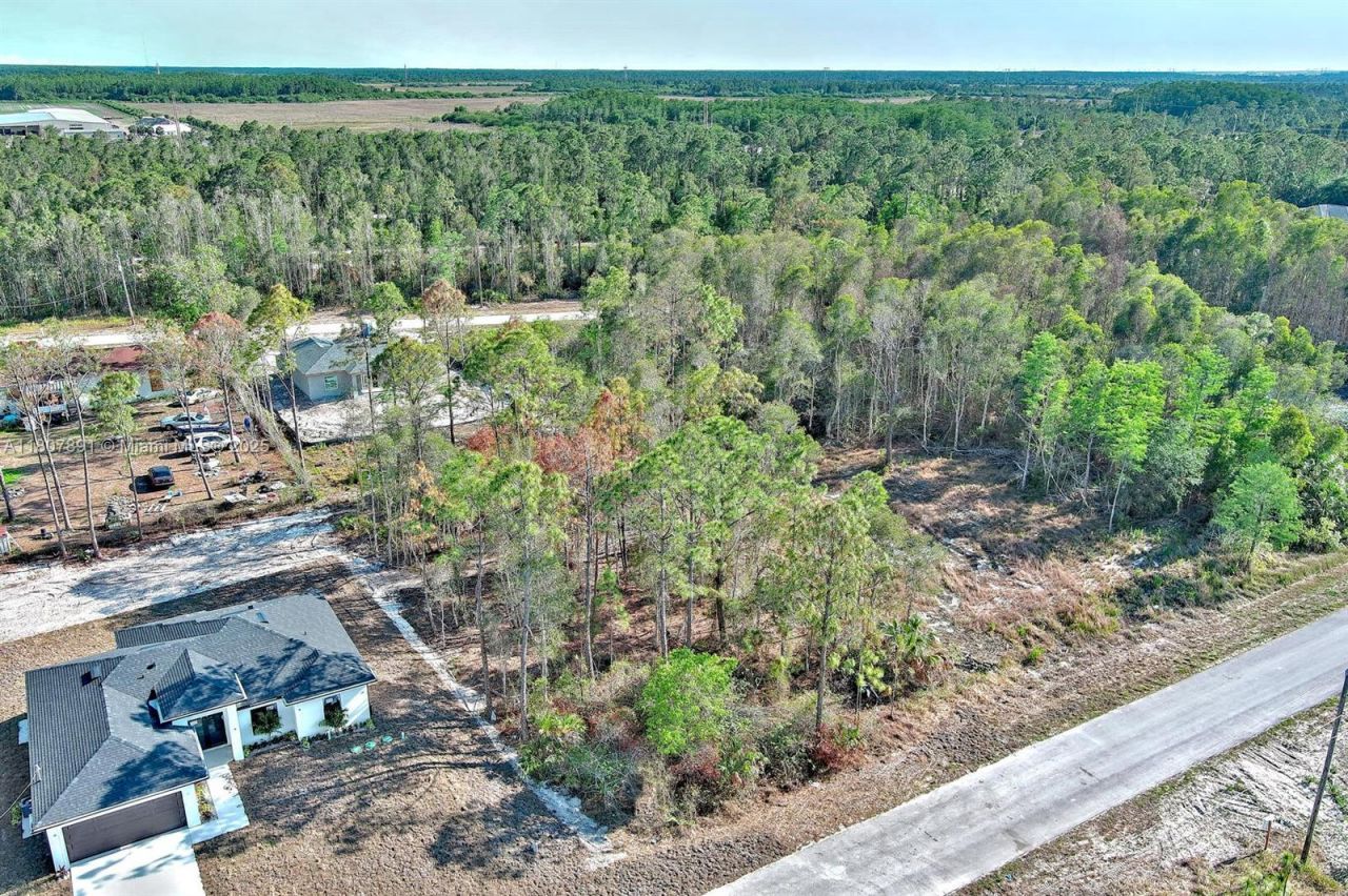 634 Ladd St, Lehigh Acres, FL 33974 Photo