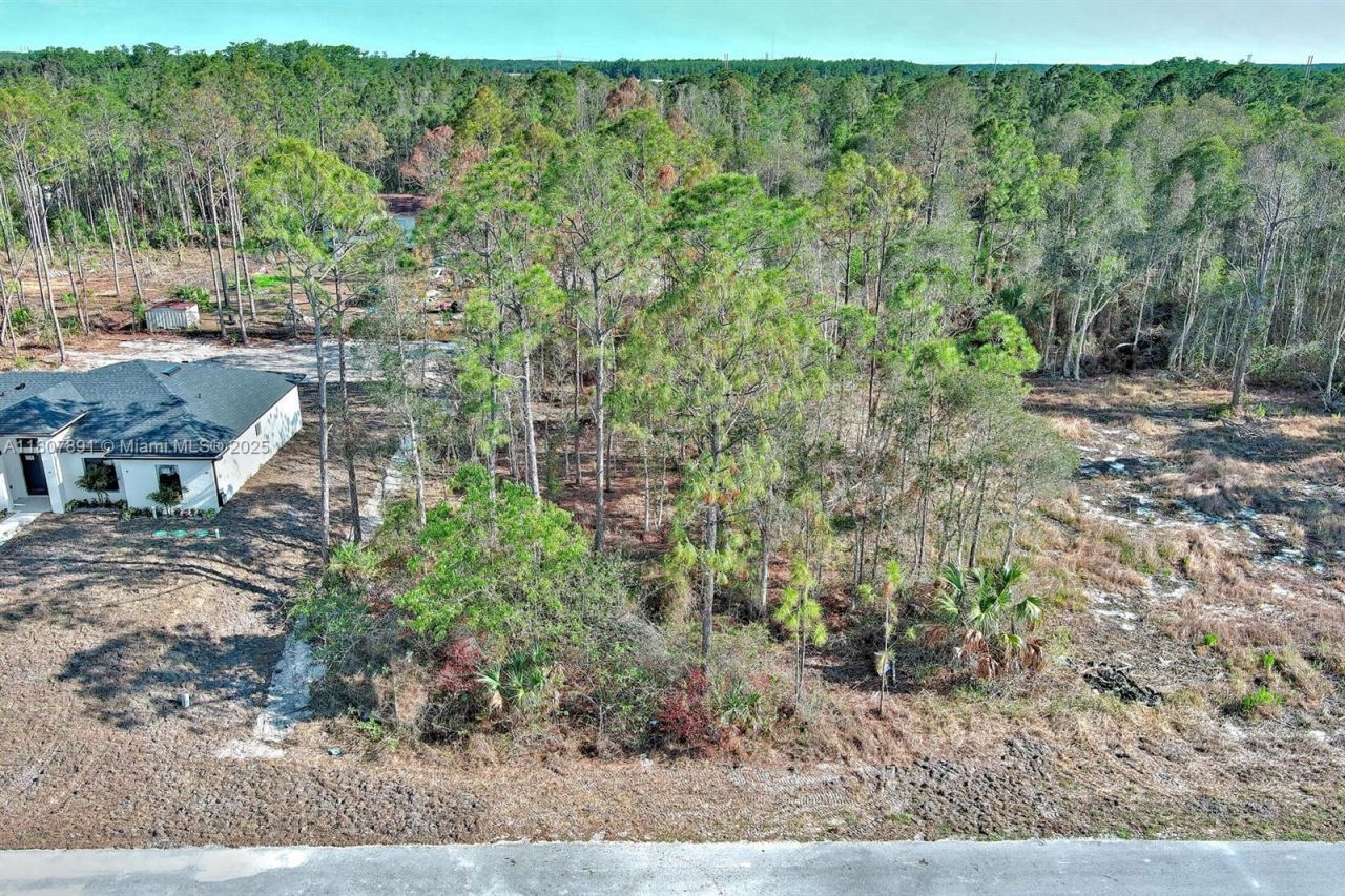 634 Ladd St, Lehigh Acres, FL 33974 Photo