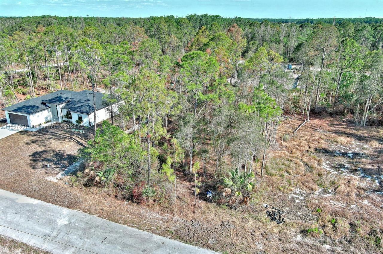 634 Ladd St, Lehigh Acres, FL 33974 Photo