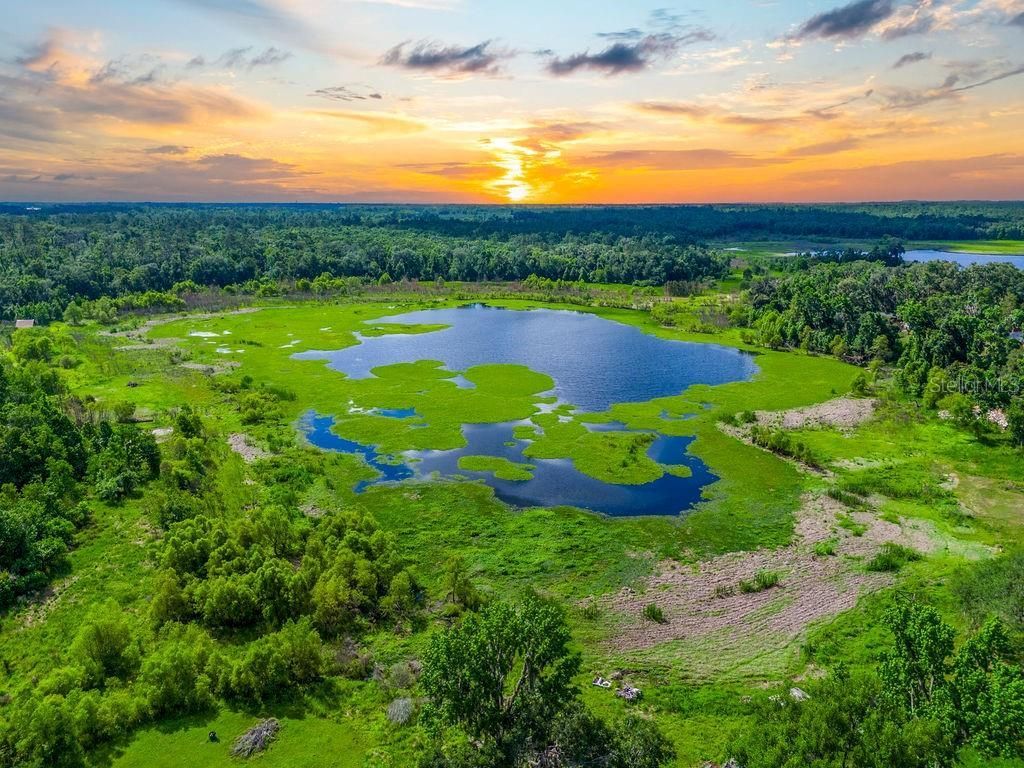 11274 71st Drive, Live Oak, FL 32060 Photo