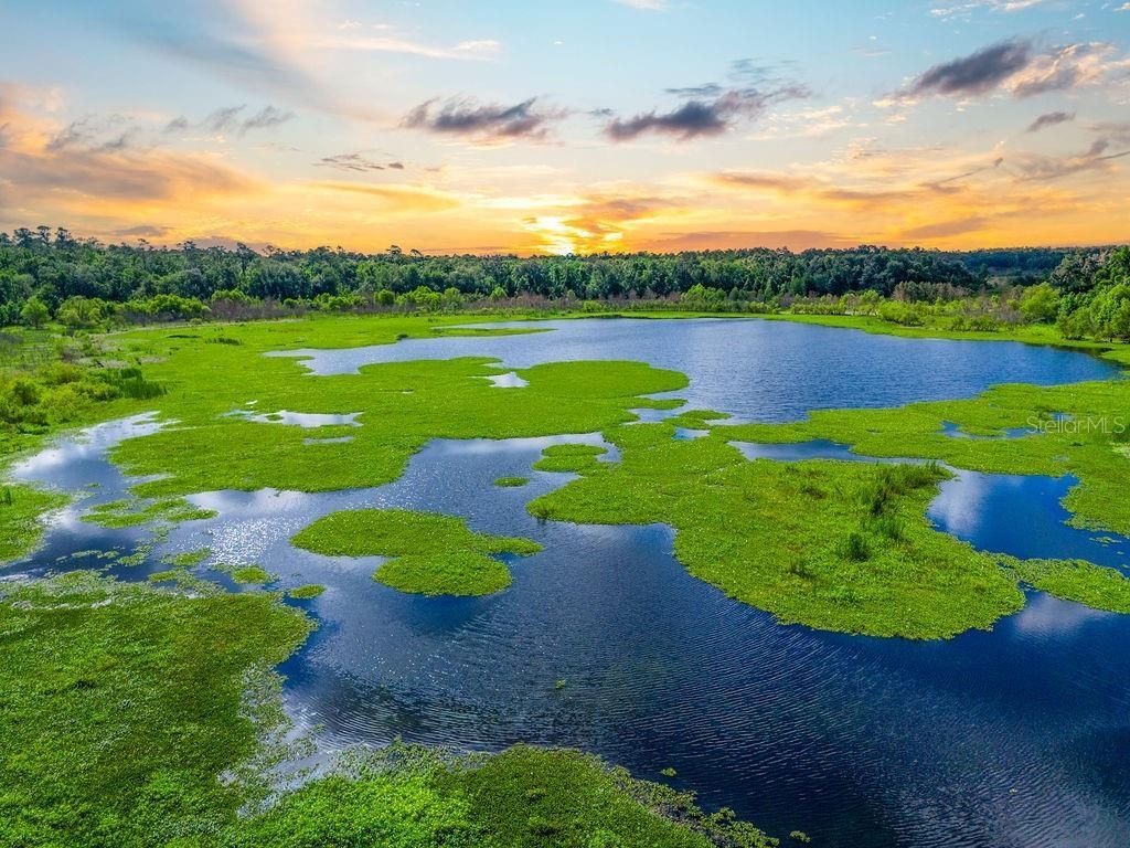 11274 71st Drive, Live Oak, FL 32060 Photo