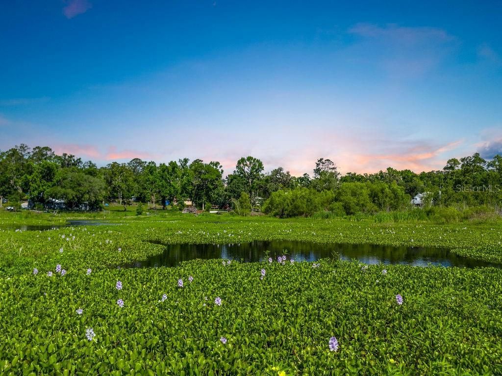 11274 71st Drive, Live Oak, FL 32060 Photo