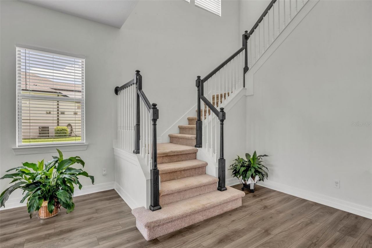 17537 Sailfin Drive, Orlando, FL 32820 Photo