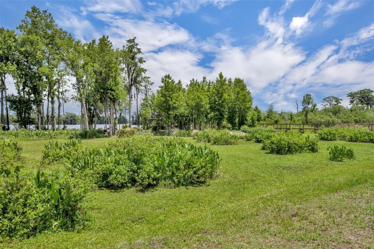 17537 Sailfin Drive, Orlando, FL 32820 Photo