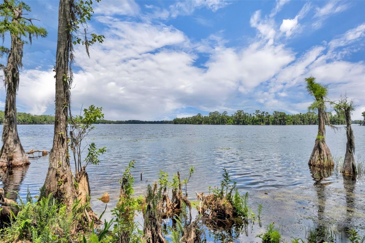 17537 Sailfin Drive, Orlando, FL 32820 Photo