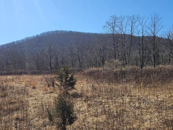 OLD US HIGHWAY 322, Unit LOT 2, MILROY, PA 17063