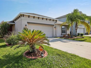 10326 BOGGY MOSS DRIVE, RIVERVIEW, FL 33578