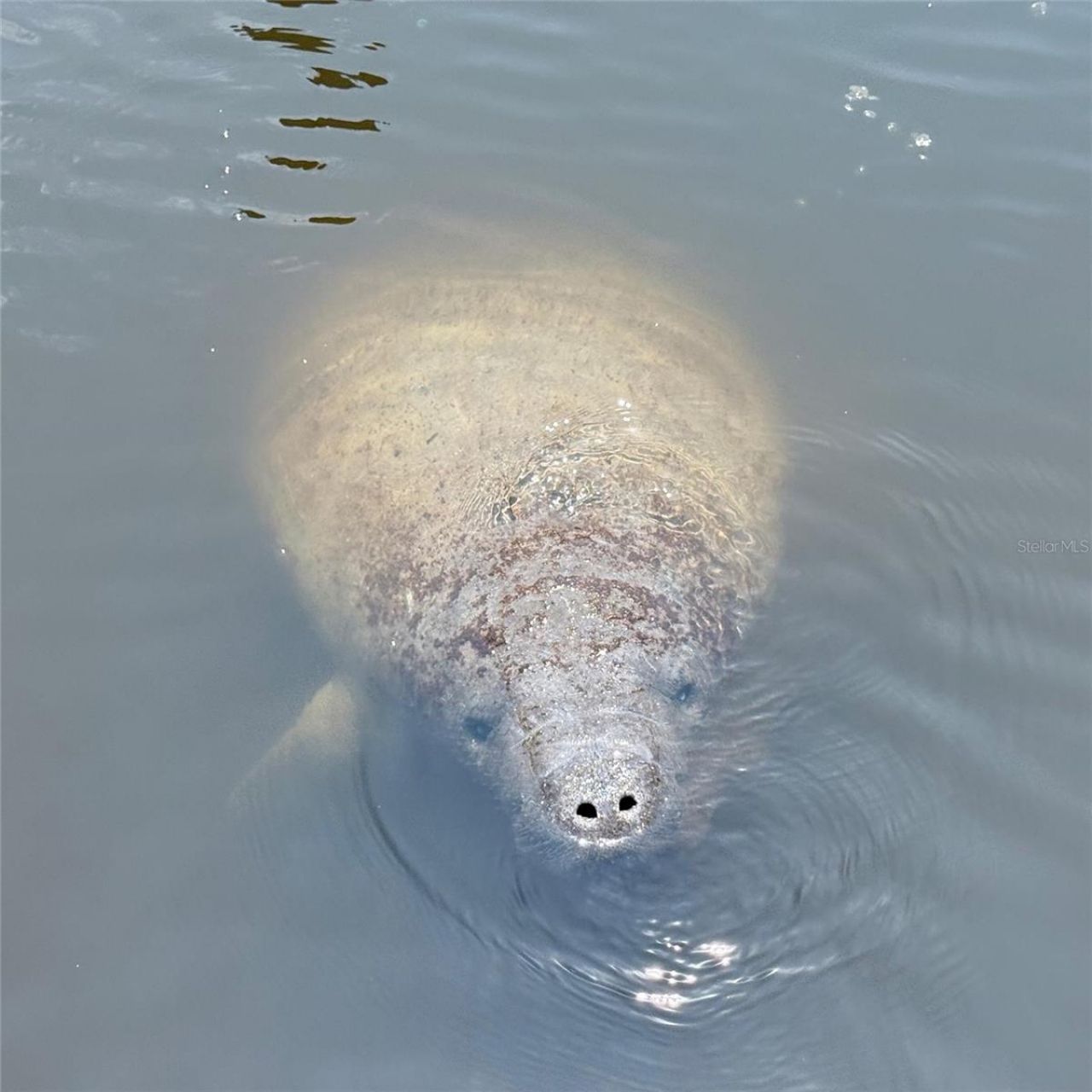 8710 54th Avenue W, Unit 8710, Bradenton, FL 34210 Photo